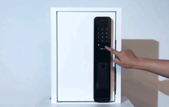 Khóa Cửa Vân Tay Xiaomi Mi Smart Door (Phiên Bản Push and Pull) 14 69a6