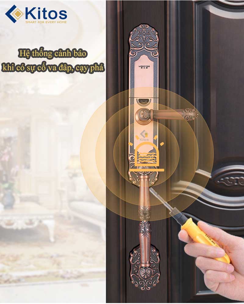 Khóa vân tay tân cổ điển Kitos C500 4 Kitos C500 4 min