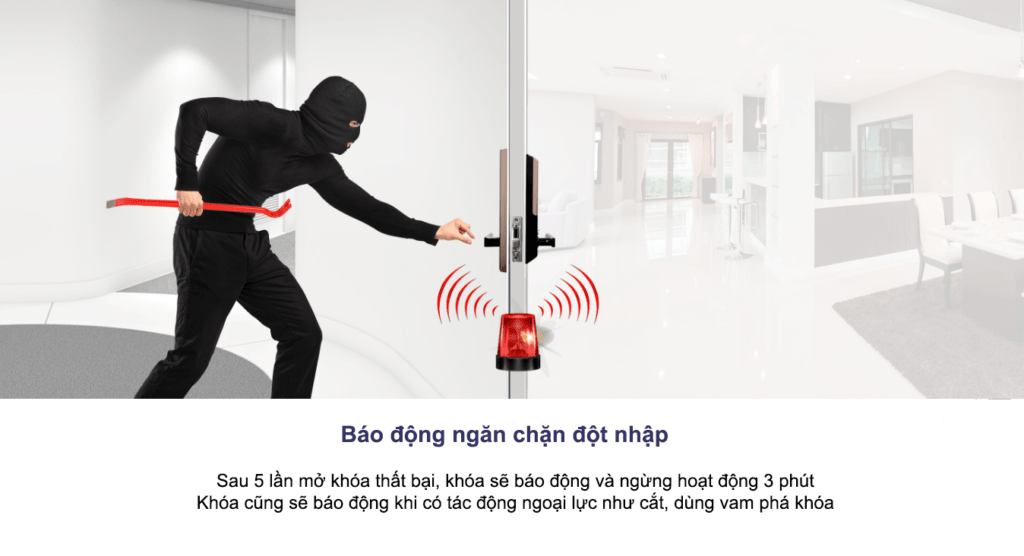 SHP DH 537 MCEN 12 1