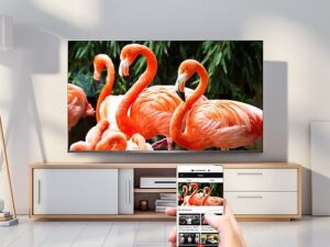 Tivi TCL 55T65 Android 4K 55 inch 