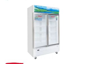 VH-1009HP