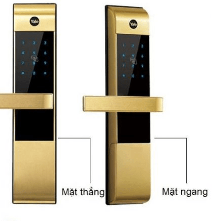 YDM 3109 GOLD 11 1 1