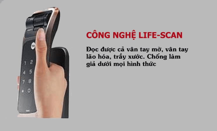 Công nghệ Life -San 