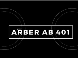 Bếp từ Arber AB 401