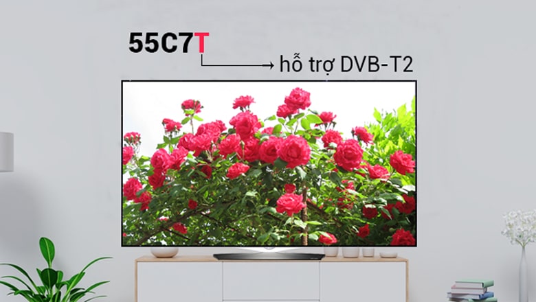 Cách đọc tên ý nghĩa ký tự trong tên tivi OLED hãng LG