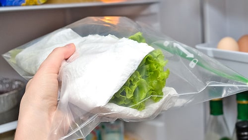 Cách bảo quản rau trong tủ lạnh đơn giản hiệu quả nhất 51 Cho vào bọc nylon hoặc túi ziplog