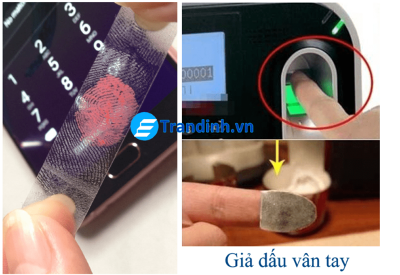 Cảm biến vân tay FPC là gì?