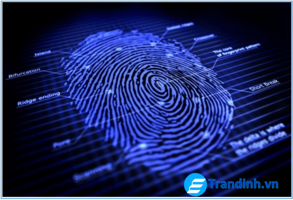 Cảm biến vân tay là gì?