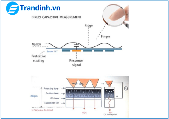 Công nghệ cảm ứng điện dung