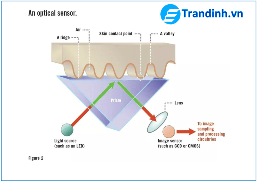 Cảm biến vân tay có mấy loại?