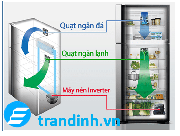 Nguyên lý hoạt động của tủ lạnh