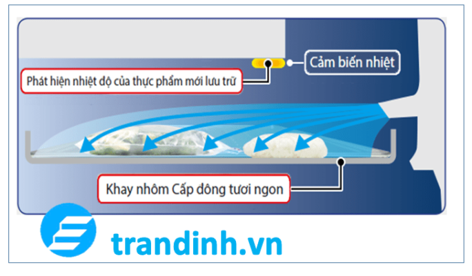 Cảm biến nhiệt thông minh trong cài đặt cấp đông tự động