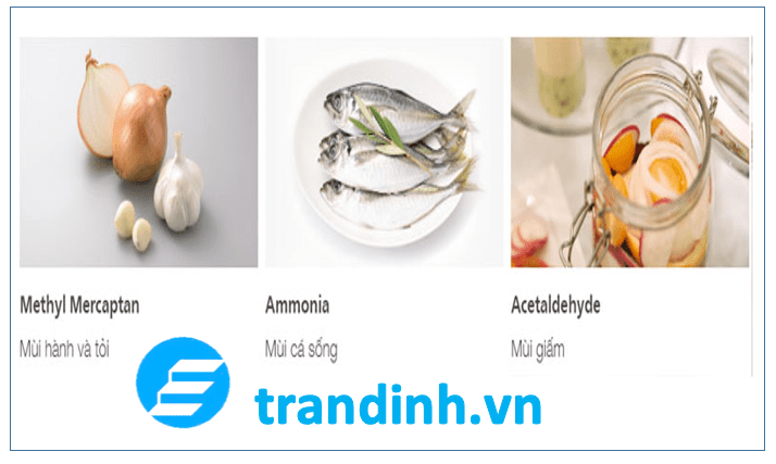  Bộ lọc 3 lớp Triple Power khử mùi mạnh mẽ