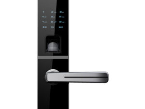 Khóa vân tay Dessmann G800FP - Thế Giới Vân Tay