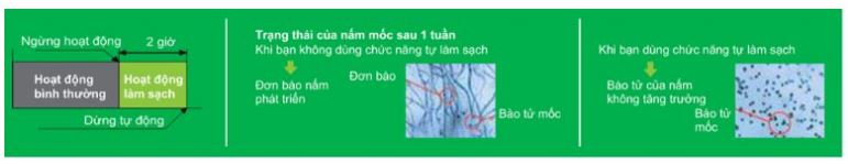 Điều hòa Mitsubishi Heavy SRK/SRC24YW-W5 24000BTU 1 chiều inverter 10 5. Máy lạnh Mitsubishi Heavy SRC24YW-W5 nâng cao độ bền với khả năng tự làm sạch