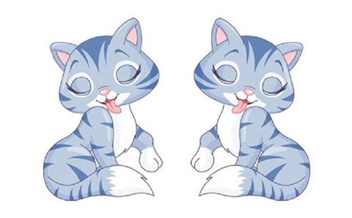 Hướng bếp là hướng nào? Đặt bếp như thế nào để hợp phong thủy