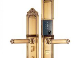 2. Hình thức mở khoá đa dạng của Demax SL822.