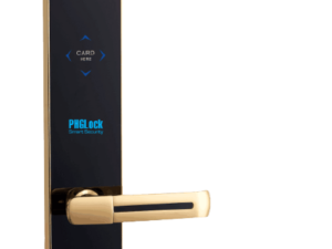 1. Khoá điện tử PHGLock RF8153 trang bị 2 phương thức mở khoá tiện dụng