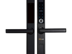 1. Những tính năng thông minh của khoá cửa kính AG211-FACP.