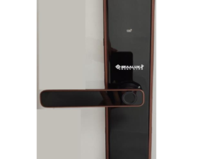 1. Khoá cửa điện tử Seaaluk X6 đa dạng tính năng mở cửa