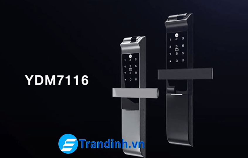 Mẫu khóa vân tay Yale bán chạy nhất hiện nay 4 Khóa vân tay Yale YDM 7116 với thiết kế hiện đại sang trọng