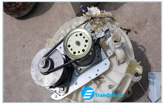 Bộ phận cốt và bạc đạn bị bể