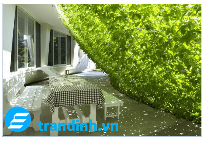 Có nên dùng máy phát điện cho điều hoà khi mất điện không? 4 Sử dụng không gian nhiều cây xanh để làm mát