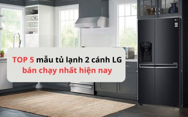 nen mua tu lanh 2 canh lg loai nao