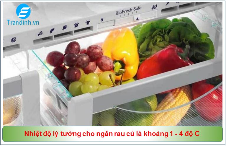 Kinh nghiệm điều chỉnh nhiệt độ bảo quản rau củ tươi lâu trong tủ lạnh