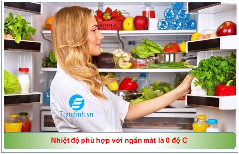 Ngăn mát tủ lạnh bao nhiêu độ phù hợp nhất