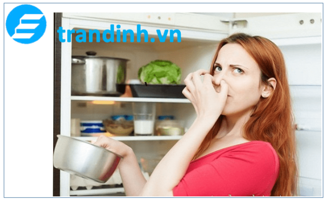 Tại sao tủ lạnh có mùi hôi