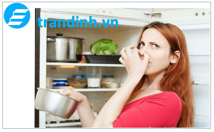 Tủ lạnh có mùi hôi khó chịu. Tìm hiểu nguyên nhân 1 Tại sao tủ lạnh có mùi hôi