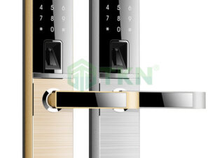 Khóa cửa vân tay Dessmann G810 - TKN