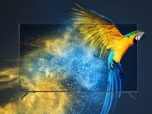 Android Tivi AQUA 4K 50 inch LE50AQT6600UG 6 5. Tivi 50 inch Aqua LE50AQT6600UG với khung hình rực rỡ, sống động trên dải màu rộng Wide Color Gamut