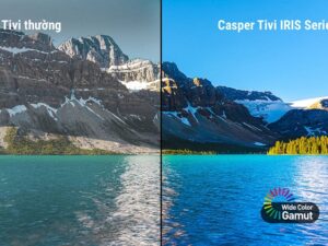 Android Tivi Casper 43 inch 43FGA610 5 5. Công nghệ Gam Màu Rộng -  Kiến tạo kỳ quan màu sắc thiên nhiên