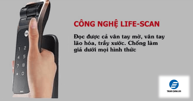 Khóa vân tay YMG 40 red Bronze