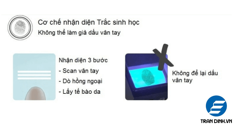 top 5 mau khoa cua van tay ban chay nhat hien nay 6