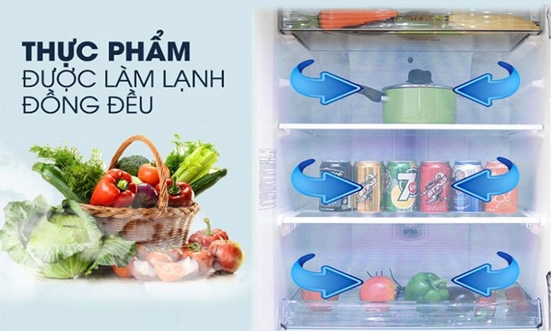 Tủ lạnh Panasonic inverter 268 lít NR-BL300PKVN 9 Bảo quản thực phẩm hiệu quả nhờ hệ thống làm lạnh Panorama
