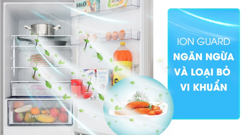Tủ lạnh Beko của nước nào? Đánh giá ưu, nhược điểm 5 Ưu điểm tủ lạnh Beko