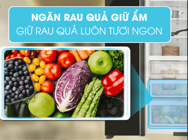 Ngăn rau củ kích cỡ lớn