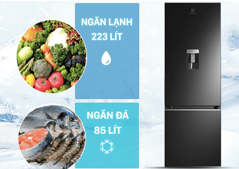 9. Tủ lạnh Electrolux EBB 3442K-A phù hợp với gia đình có từ 3 - 4 thành viên