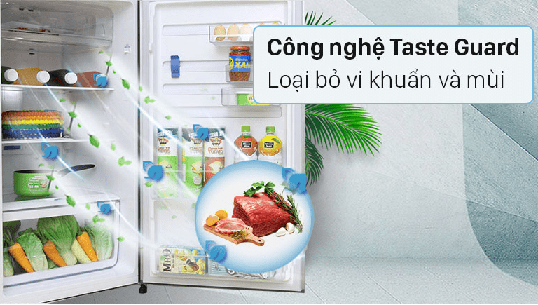 Tủ lạnh Electrolux ETB3740K-H giúp loại bỏ vi khuẩn và khử mùi với công nghệ Taste Guard
