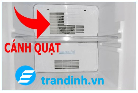 Tiếng kêu phát ra từ ngăn tủ đá