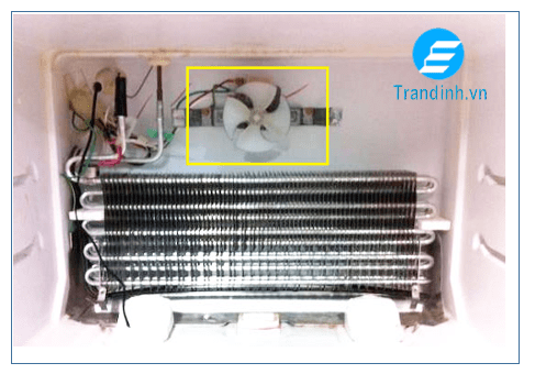 Tại sao tủ lạnh không đông đá? Nguyên nhân và cách khắc phục 24 Quạt gió chạy ngược (tủ vẫn chạy nhưng không lạnh)