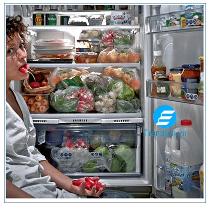 Tại sao tủ lạnh không đông đá? Nguyên nhân và cách khắc phục 6 Quá nhiều thực phẩm trong tủ lạnh