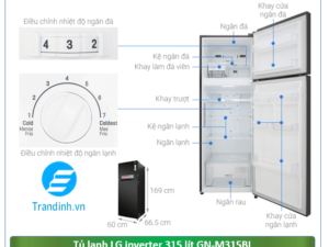 Phác hoạ tổng quát tủ lạnh LG Inverter 315 lít GN-M315BL