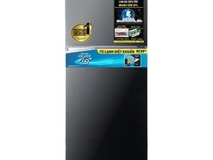 Tủ lạnh Panasonic NR-TL351VGMV inverter 326 Lít