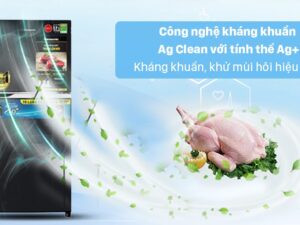 Công nghệ Ag Clean trên tủ lạnh NR-TV261BPKV diệt khuẩn, khử mùi tối ưu