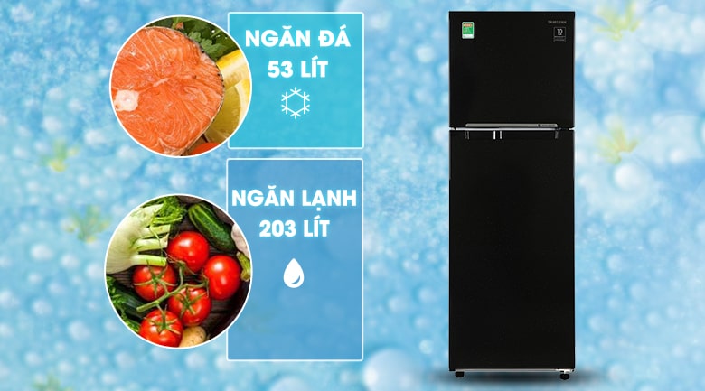 Tủ lạnh Samsung RT25M4032BU/SV phù hợp cho gia đình có từ 2 - 3 người