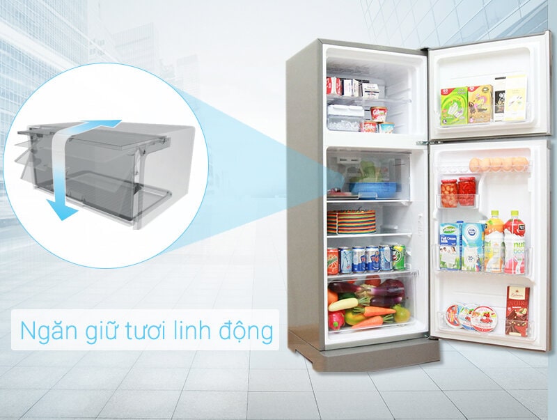 Bí quyết chọn mua tủ lạnh sinh viên, TOP 6 bán chạy nhất 51 Tủ lạnh 2 cánh của LG L205S
